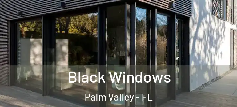 Black Windows Palm Valley - FL