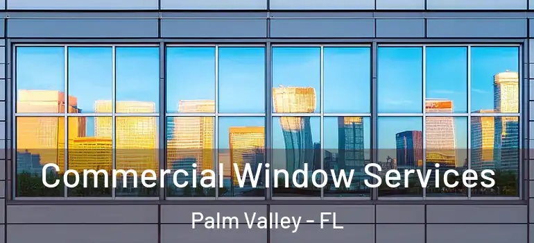 Commercial Window Services Palm Valley - FL