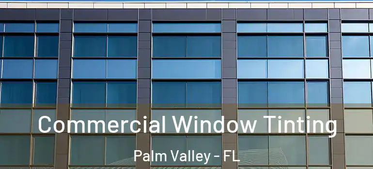 Commercial Window Tinting Palm Valley - FL