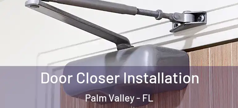 Door Closer Installation Palm Valley - FL