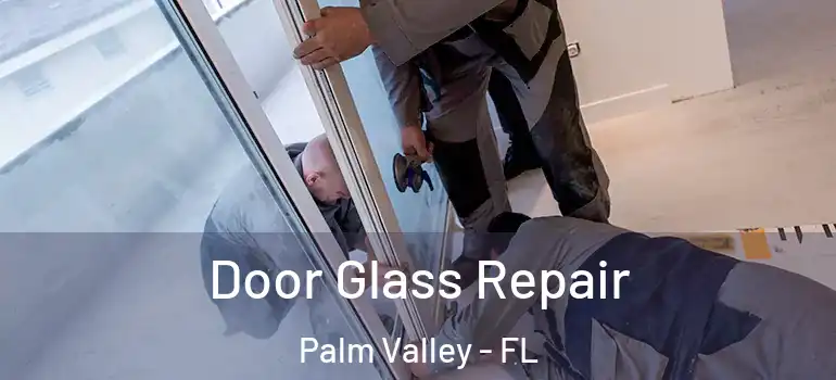 Door Glass Repair Palm Valley - FL