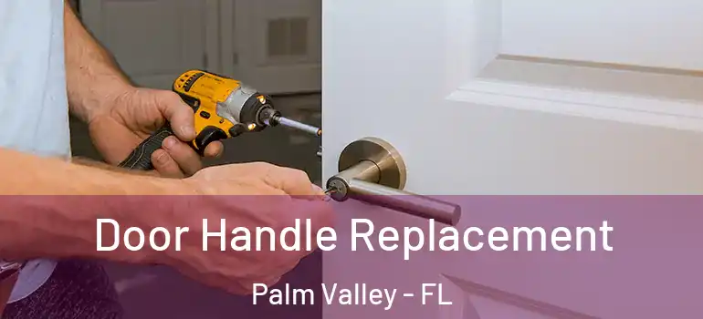Door Handle Replacement Palm Valley - FL