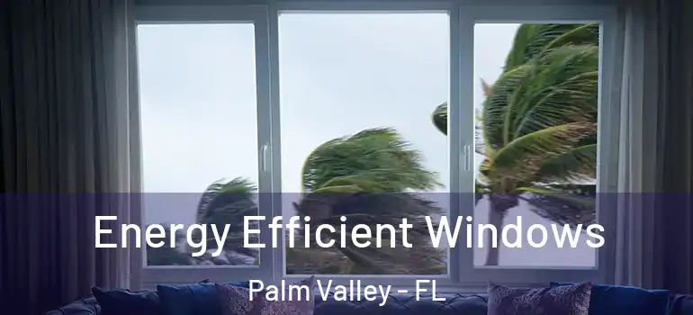 Energy Efficient Windows Palm Valley - FL