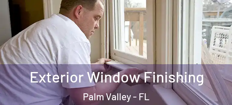 Exterior Window Finishing Palm Valley - FL