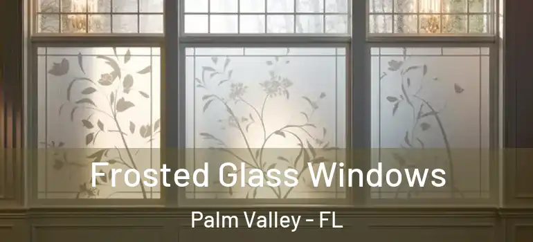 Frosted Glass Windows Palm Valley - FL