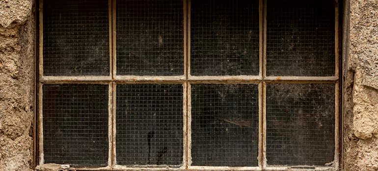 Traditional Double Front Doors in Palm Valley, FL