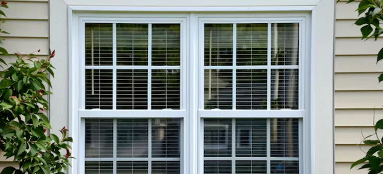 Custom Double Hung Windows in Palm Valley, FL