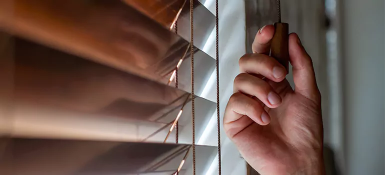 Double Roller Blinds in Palm Valley, FL