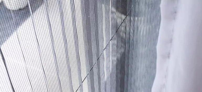 Fixing Screen Window Mesh in Palm Valley, FL