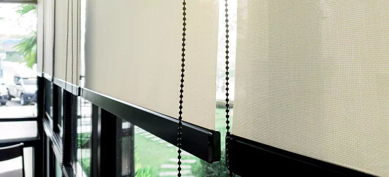 Blackout Window Shades in Palm Valley, FL