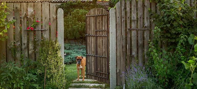 Winter Garden Garage Door Repair in Palm Valley,[location field=state]