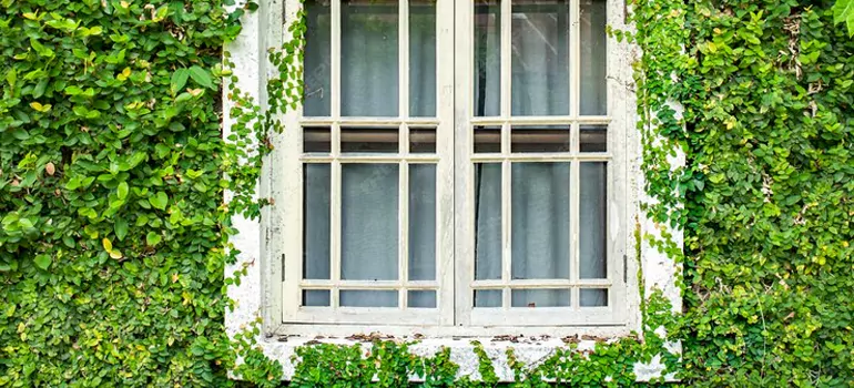 Garden Window Repair Near Me in Palm Valley, FL