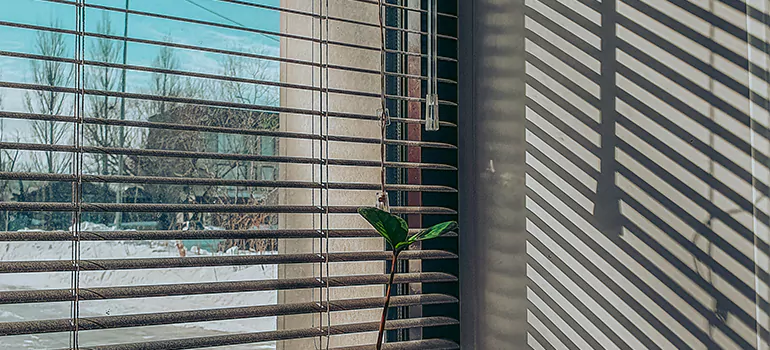 Commercial Window Blinds in Palm Valley, FL