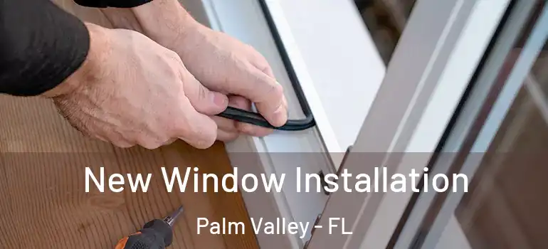 New Window Installation Palm Valley - FL