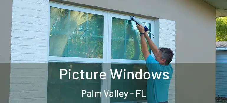 Picture Windows Palm Valley - FL