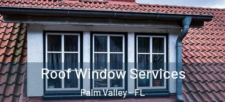 Roof Window Services Palm Valley - FL