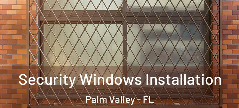 Security Windows Installation Palm Valley - FL