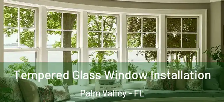 Tempered Glass Window Installation Palm Valley - FL