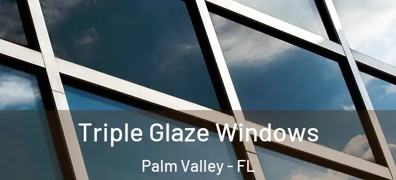 Triple Glaze Windows Palm Valley - FL