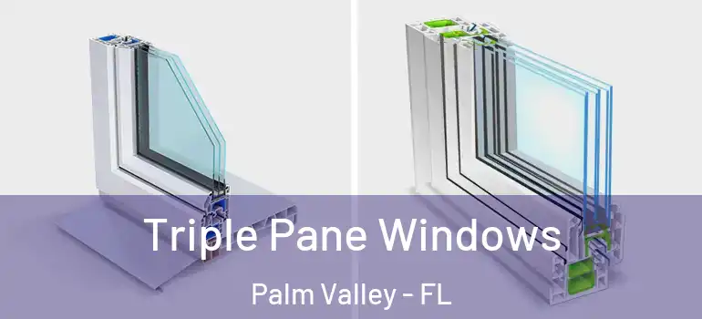 Triple Pane Windows Palm Valley - FL