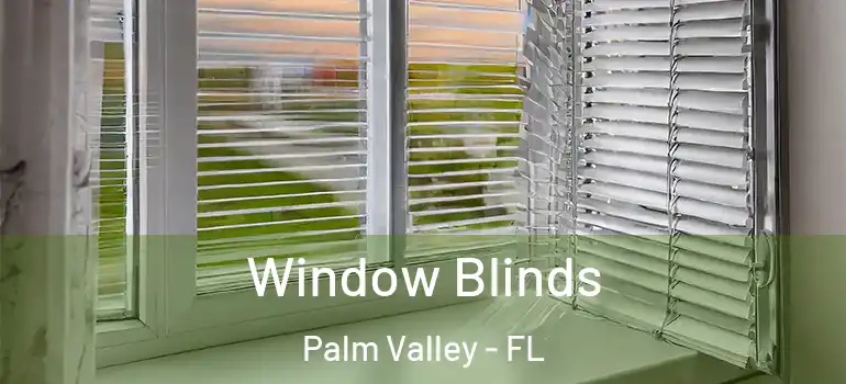 Window Blinds Palm Valley - FL