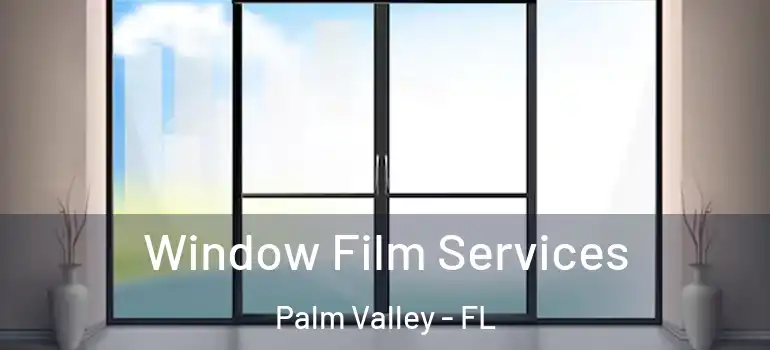 Window Film Services Palm Valley - FL