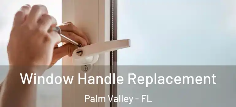Window Handle Replacement Palm Valley - FL