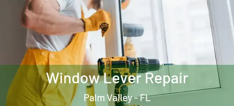 Window Lever Repair Palm Valley - FL
