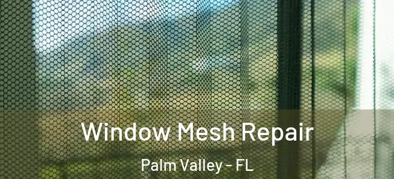 Window Mesh Repair Palm Valley - FL
