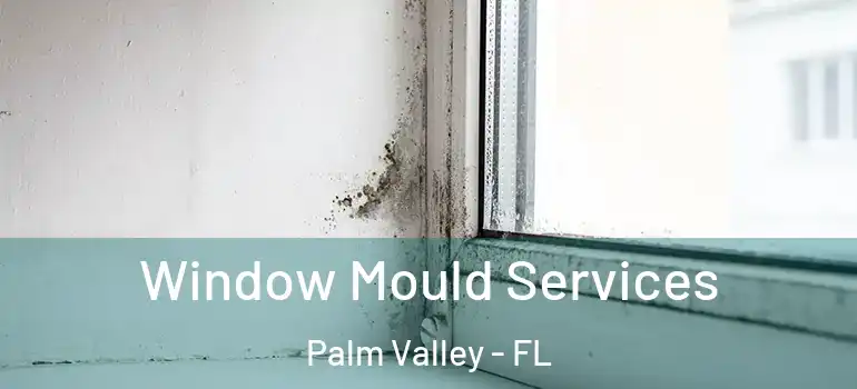 Window Mould Services Palm Valley - FL
