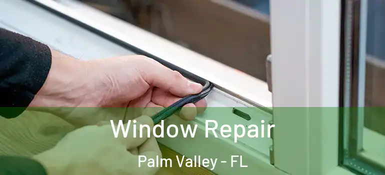 Window Repair Palm Valley - FL