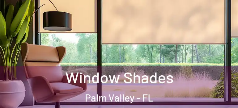 Window Shades Palm Valley - FL